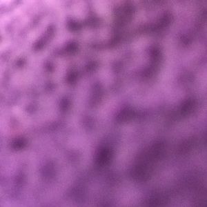 Meet your Posher, Carissa